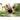 Man stretches leg using foam roller on grass in a park during outdoor exercise.